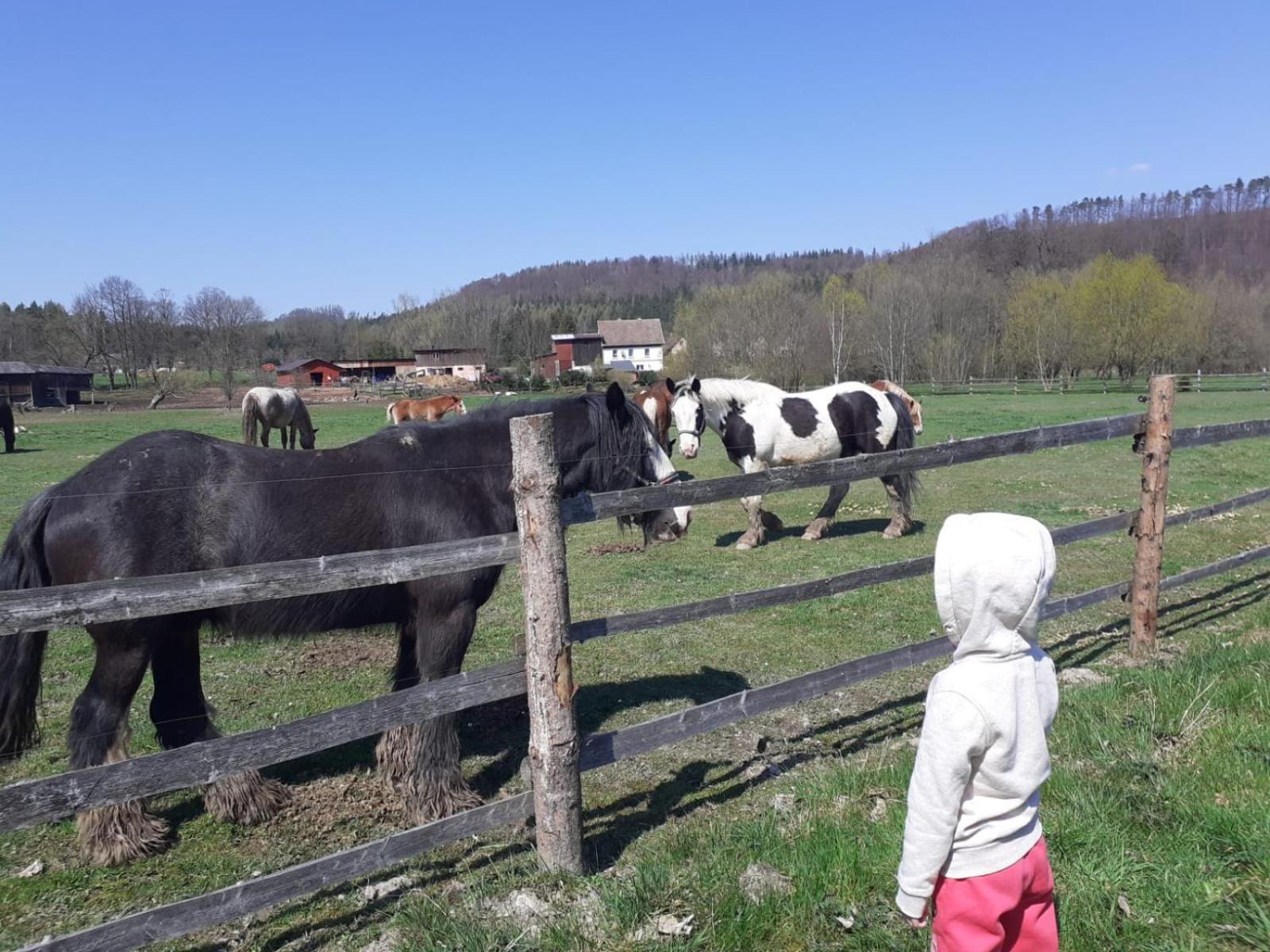 Otulina Dom W Gorach Stolowych Pod Szczelincem Pogranicze Pl-Cz Radkow Exterior foto