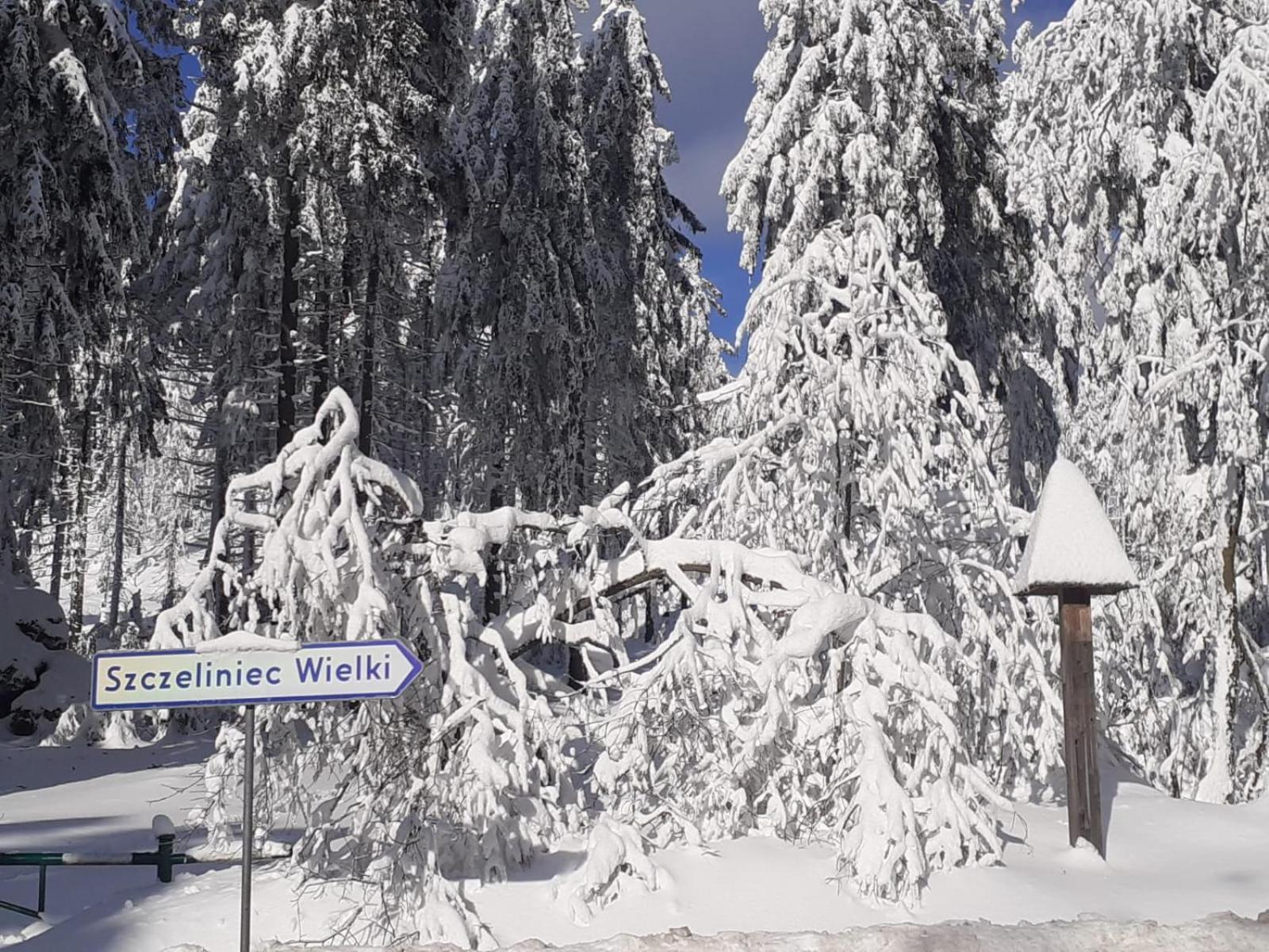 Otulina Dom W Gorach Stolowych Pod Szczelincem Pogranicze Pl-Cz Radkow Exterior foto