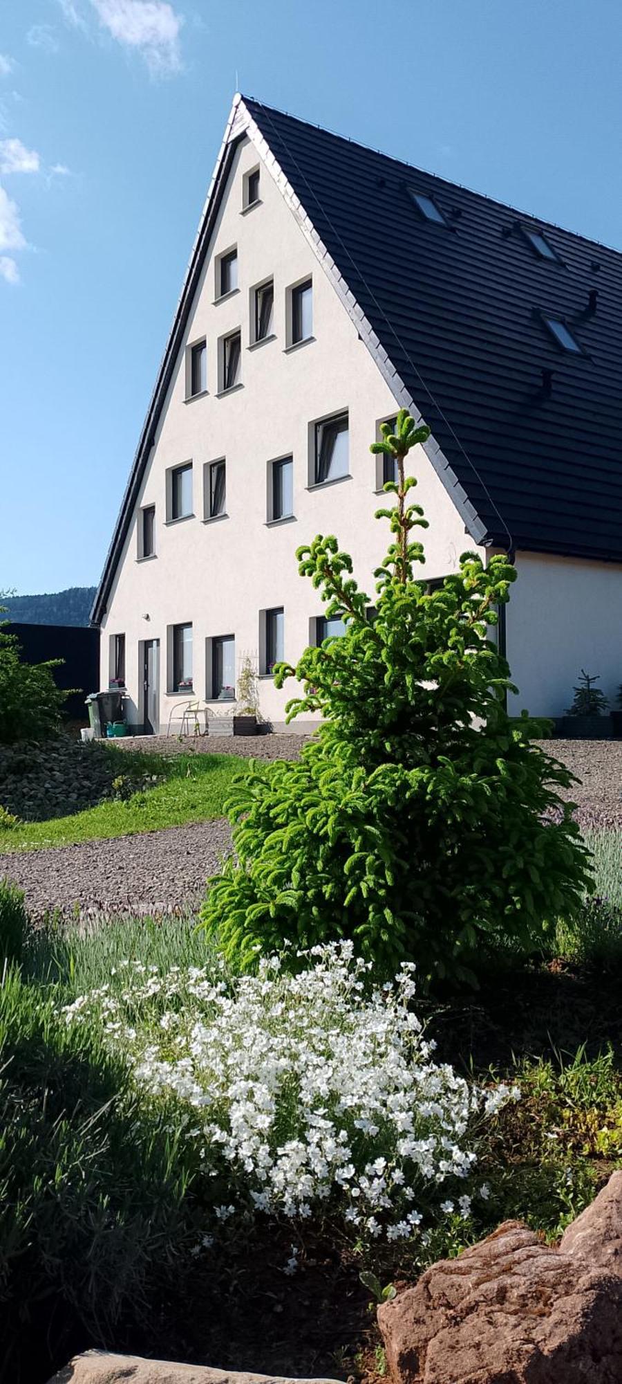 Otulina Dom W Gorach Stolowych Pod Szczelincem Pogranicze Pl-Cz Radkow Exterior foto